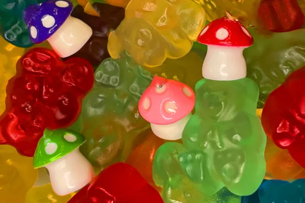 mushroom gummies